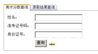 2013年湖北大学高考录取查询
