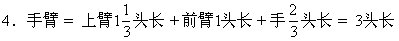 人的全身比例