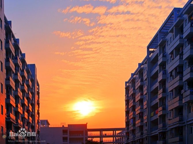 福建农林大学