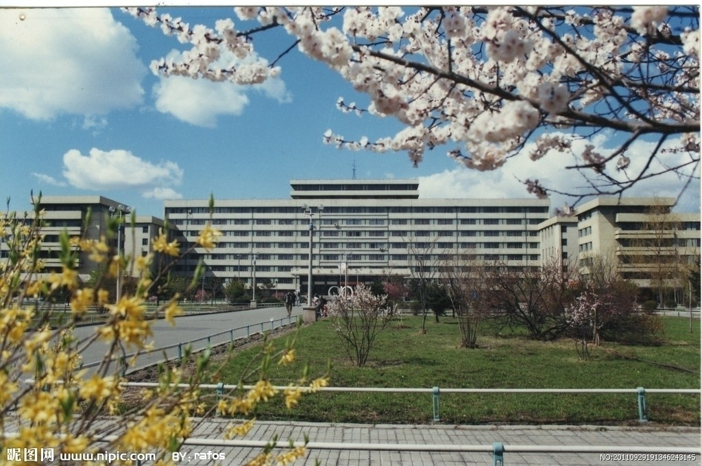 东北农业大学