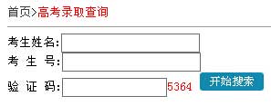 武汉轻工大学2014年艺术类高考录取查询