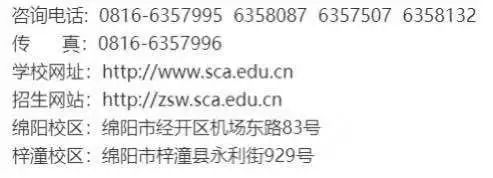 四川文化艺术学院2019年艺术类专业校考公告