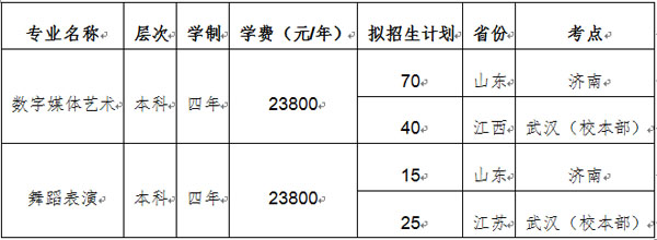 武汉工商学院2019年艺术类招生专业及计划