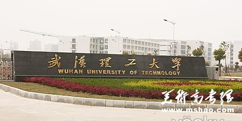 武汉理工大学艺术招生简章