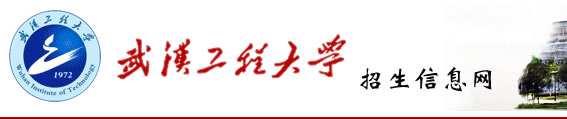 武汉工程大学艺术类专业成绩查询