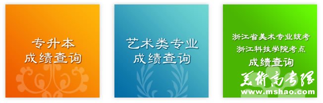 浙江科技学院2010年艺术类专业成绩查询