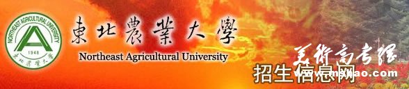 东北农业大学2010年艺术类专业成绩查询