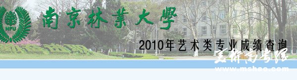 南京林业大学2010年美术专业成绩查询