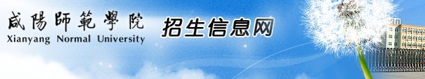 咸阳师范学院2010年艺术类专业成绩查询