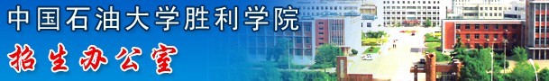 中国石油大学胜利学院2010年艺术类专业成绩查询