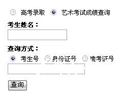 郑州轻工业学院2010年艺术类专业成绩查询