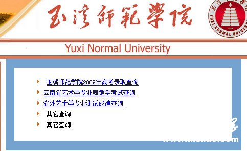 玉溪师范学院2010年艺术类专业成绩查询