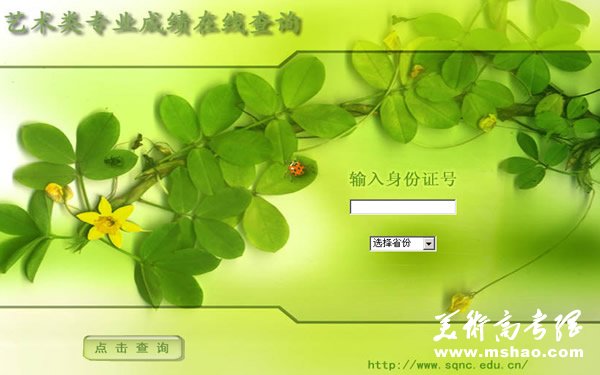 商丘师范学院2010年艺术专业成绩查询