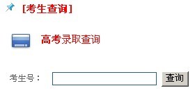 湖南城市学院2010年艺术类高考录取查询