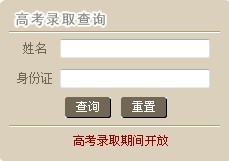 中南民族大学工商学院2010年艺术类高考录取查询