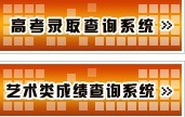 华东师范大学2010年艺术类高考录取查询