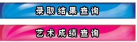 湖北民族学院2010年艺术类高考录取查询