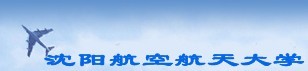 沈阳航空航天大学2010年艺术类高考录取查询