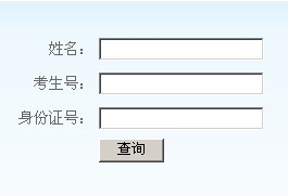 中央民族大学2010年艺术类高考录取查询