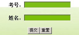 绥化学院2010年艺术类高考录取查询