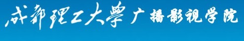 成都理工大学广播影视学院2010年艺术类高考录取查询