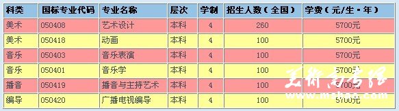 2011年南阳理工学院艺术类招生专业