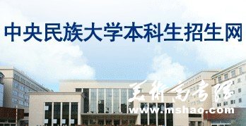 2011年中央民族大学艺术类专业成绩查询