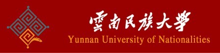 2011年云南民族大学艺术类高考录取查询
