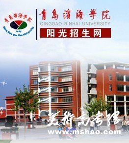 2011年青岛滨海学院艺术类专业成绩查询