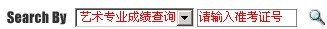 2011年湖南商学院艺术类专业成绩查询