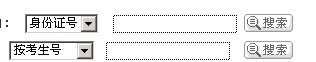 2011年惠州学院艺术类专业成绩查询