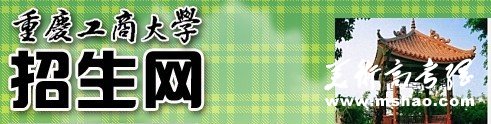 重庆工商大学2011年艺术类专业成绩查询