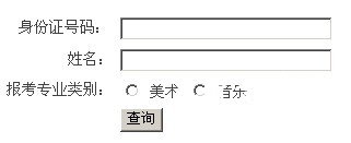 2011年浙江师范大学省外艺术类专业校考成绩查询系统