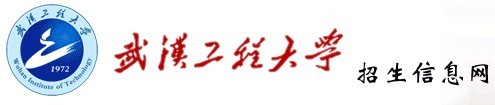 2011年武汉工程大学艺术专业成绩查询