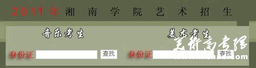 2011年湘南学院艺术专业成绩查询