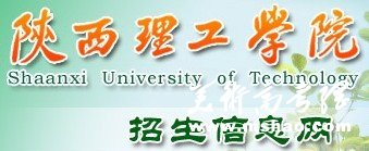 2011年陕西理工学院艺术专业成绩查询