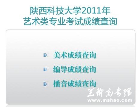 2011年陕西科技大学艺术专业成绩查询