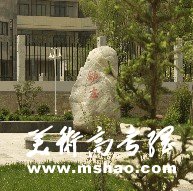 2011年青海师范大学艺术专业成绩查询