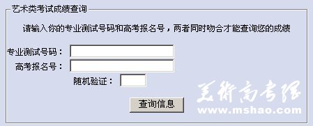 2011年石河子大学艺术专业成绩查询