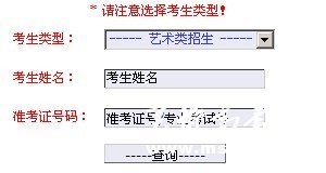 2011年南京晓庄学院艺术类专业成绩查询