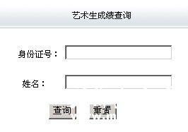 2011年山东轻工业学院艺术类专业成绩查询