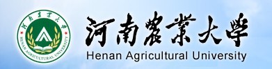 2011年河南农业大学艺术类高考录取查询