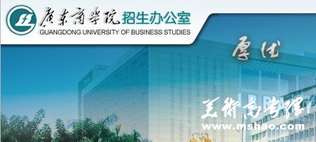 2013年广东商学院艺术类高考录取查询