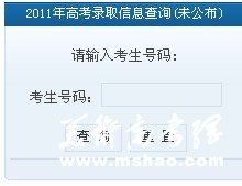 沈阳理工大学2011艺术高考录取查询