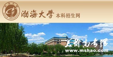 渤海大学2013艺术高考录取查询