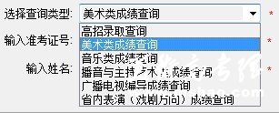 2012年河南大学艺术类专业成绩查询