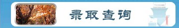 2013年北京石油化工学院高考录取查询