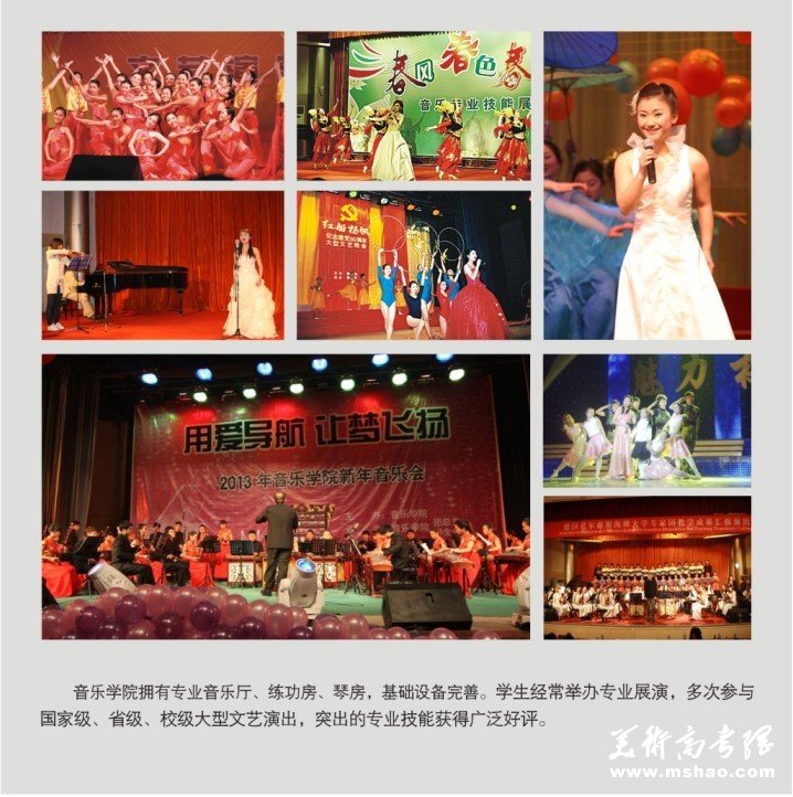 2013年阜阳师范学院艺术类专业招生简章